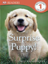 Cover image for Surprise Puppy